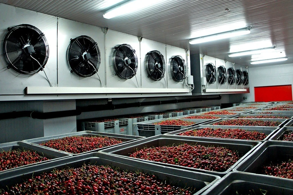 ozono para cámaras frigorificas