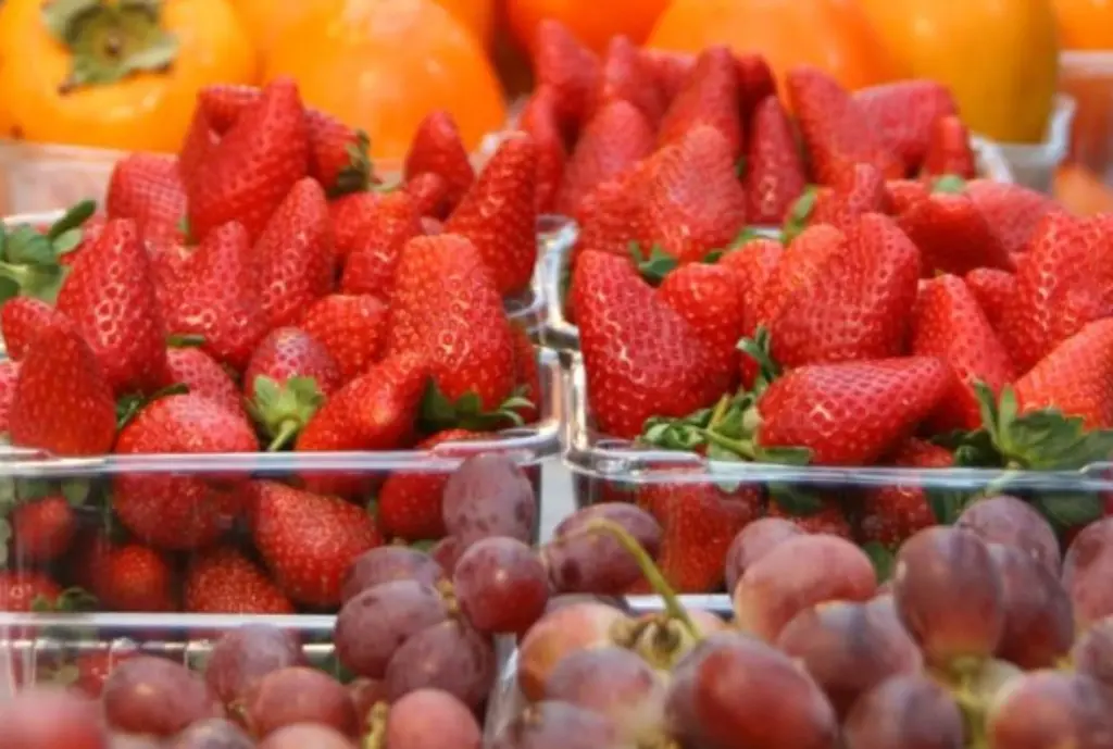 Sanitización y seguridad alimentaria con ozono