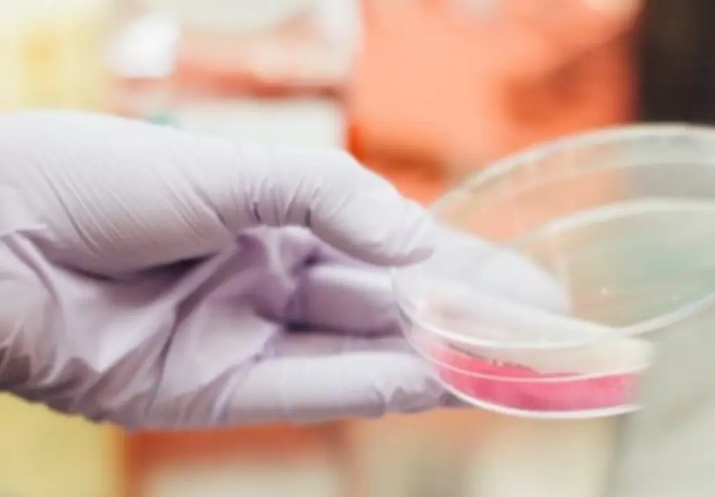 lab-oxidation Sistemas de oxidación de laboratorio de ozono