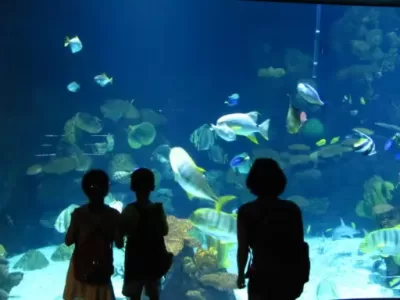 life-support-400×300 ozono para zoo