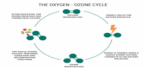 o3 ciclo blog