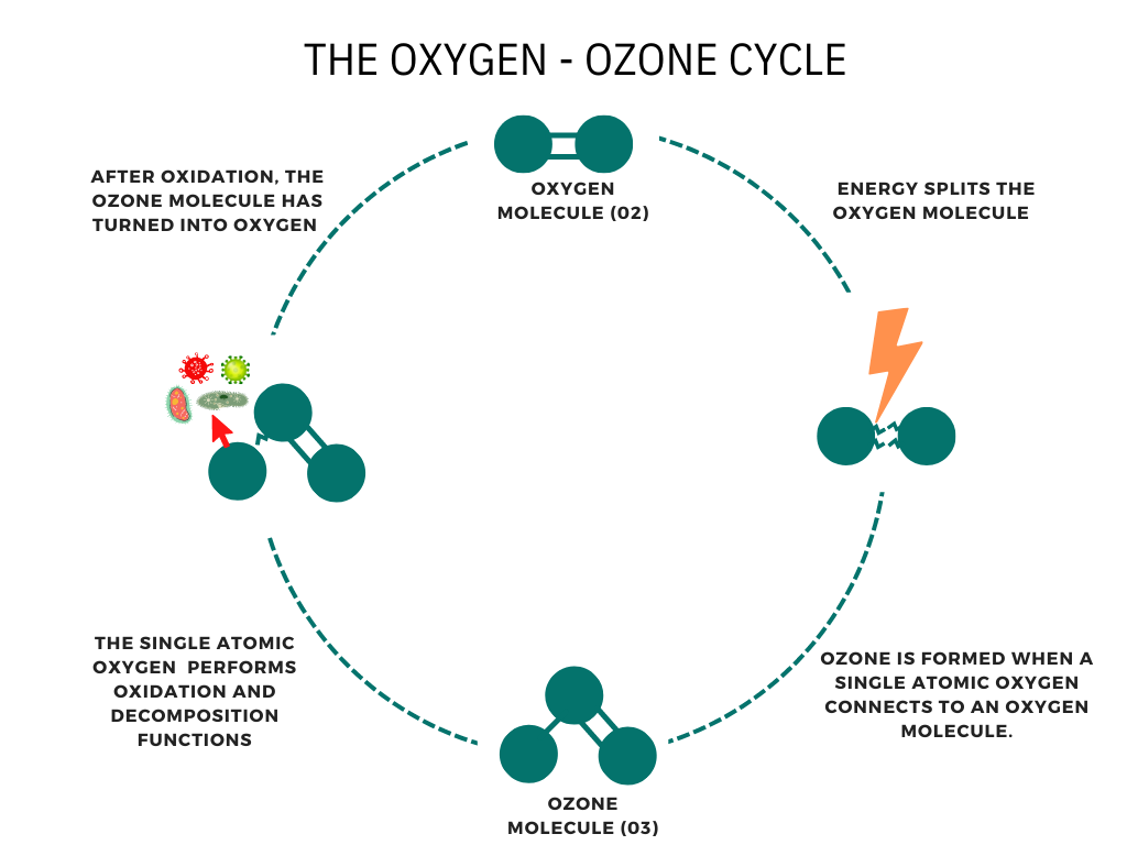 ciclo del ozono
